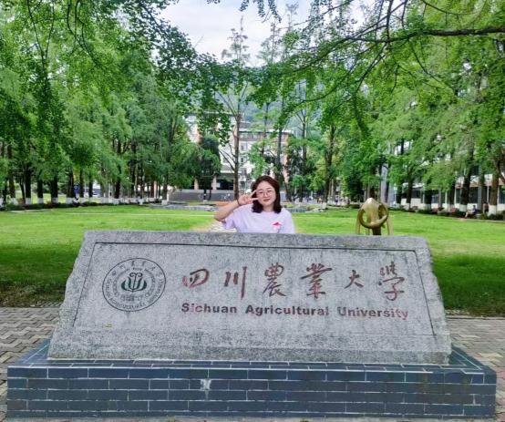  【求学记】陈虹冰：无畏前路，向阳生长